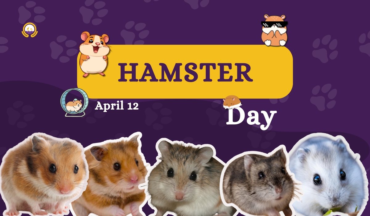 Hamster Day: Celebrating Tiny Companions with Big Hearts 